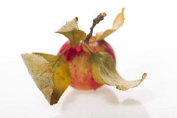 Fototapeta premium Apple with leaves on a white plastic background