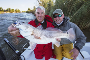Man holding a redfish (sciaenops ocellatus);Venice louisiana united states of america