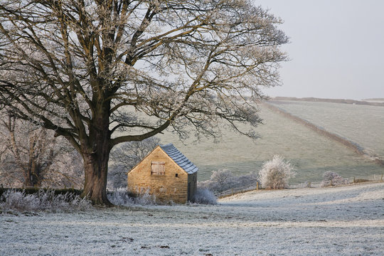 Farmland, barn and trees covered in frost;Pilsley, peak district, derbyshire, england
