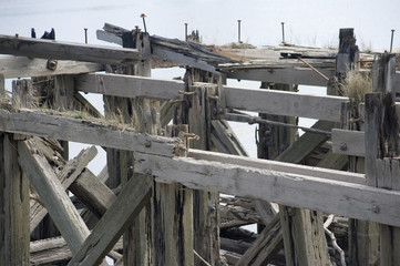 Dilapidated wooden framework on the River Usk