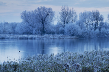 Cotswold Water Park; Thames Head, England