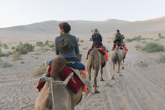 Four people riding camels on a desert landscape;Jiuquan gansu china