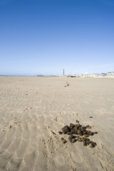 Blackpool beach with donkey droppings