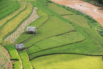 Beautiful landscape hut with rice fields on terraced of Mu Cang