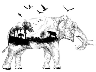 Vector Double exposure, elephant and jungles, wildlife concept