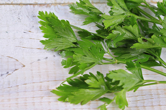 Bunch of Fresh Parsley on White Background. Healthy eating concept