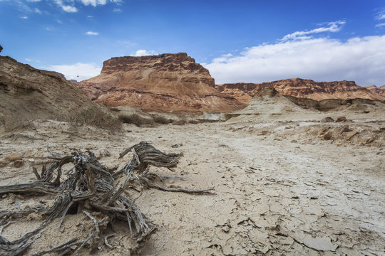 Fortress in the judean desert;Masada southern district israel