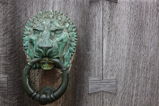 Brass lion door knocker on a wooden door;Howick northumberland england