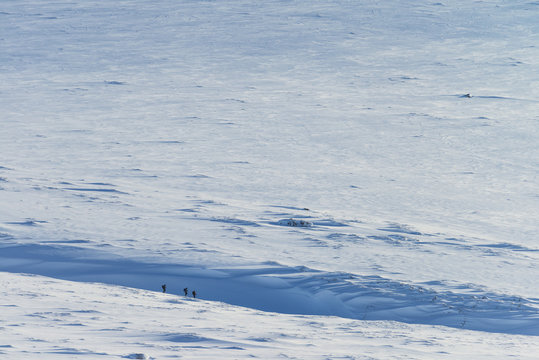 People descending through snowfield from Beinn a Chlachair, near Laggan; Scotland