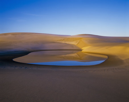 The water table raises above the sand during the rainy season; Lakeside, Oregon, United States of America