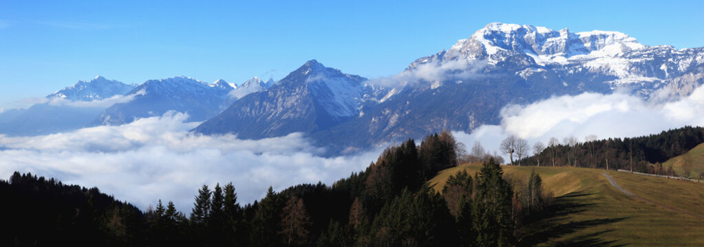 Scenic view of the Alps and a blue sky with grassy field and forest in the foreground; Brixlegg, Tyrol, Austria