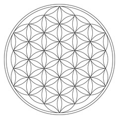 Flower of Life (version 2)
