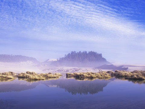 The deflation plain floods every winter at Oregon Dunes National Recreatiion Area; Oregon, United States of America