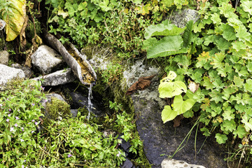 Natural spring icy water flowing fountain of wood out of the rocks in the Kackar mountains