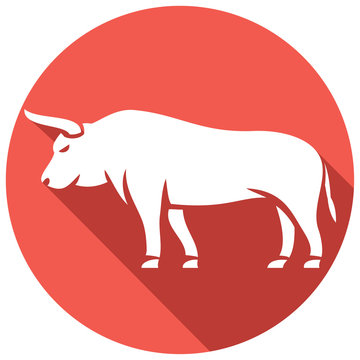 bull flat icon