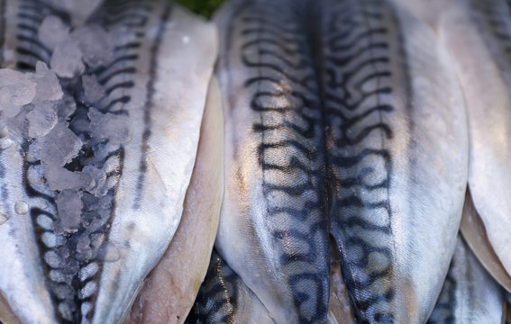 Fish For Sale At Borough Market; London, England