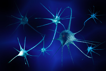 3D rendering of Neurons in the brain
