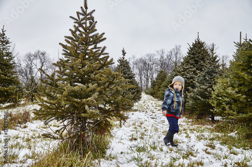quot young boy walking through christmas tree farm stoney quot young boy walking through christmas tree farm stoney