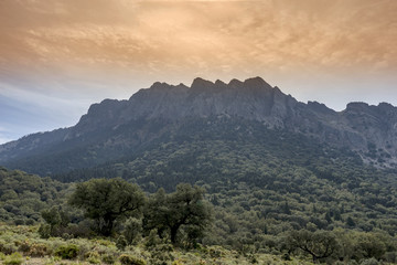 vista de la cima del Torreón de Grazalema desde el pinsapar, Andalucía