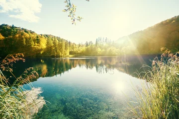 Fond de hotte en verre imprimé Lac / étang Lac en forêt, Croatie, Plitvice