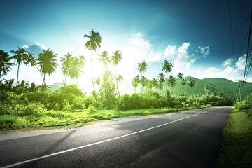 Obraz premium empty road in jungle of Seychelles islands