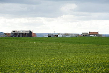 Fototapeta na wymiar Farm buildings and pastures