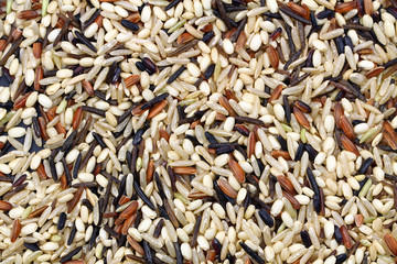 Wild rice background