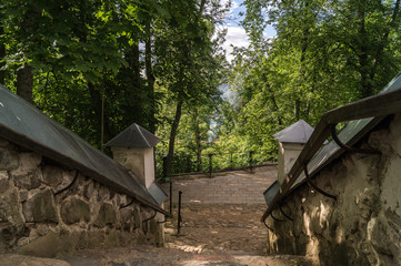 Fototapety na wymiar - Fototapeta24.pl