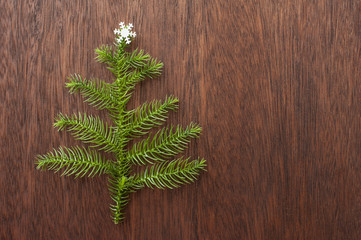Evergreen Branch with Star on Wooden Surface
