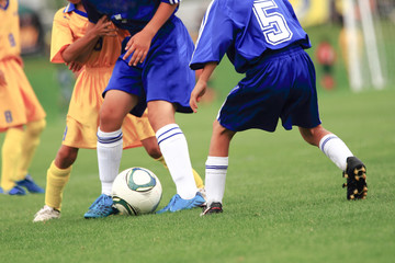 Fototapeta premium サッカー フットボール