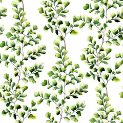 Watercolor maidenhair fern leaves seamless pattern. Hand painted fern ornament. Floral illustration isolated on white background. For design, textile and background.