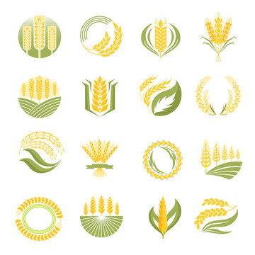 Wheat icon vector set.
