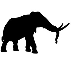 Elephant. Vector black silhouette