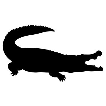 Crocodile or caiman. Black vector silhouette of an alligator