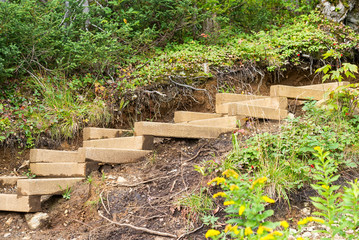 Wooden stairs on a hiking trail.