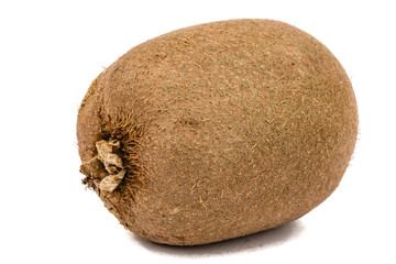 One kiwi fruit, isolated on white background