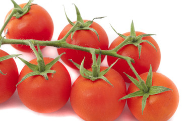 Close up Fresh Red Tomatoes on a Stem