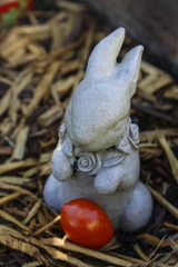 Image of a Cherry Tomato
