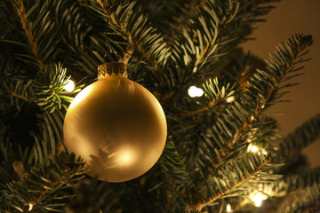 Image of a Christmas Ball Ornament
