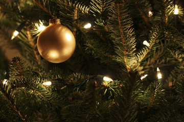 Image of a Christmas Ball Ornament
