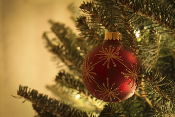 Image of a Christmas Ball Ornament

