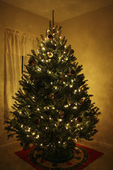 Image of a Christmas Tree Glowing
