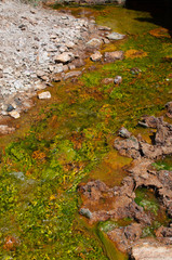 Gold Mine Run off Stream