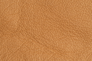 Fototapeta premium close up leather beige textured background