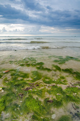 beautiful white and soft wave flow over the rock and mossy hitti