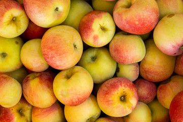 Apples