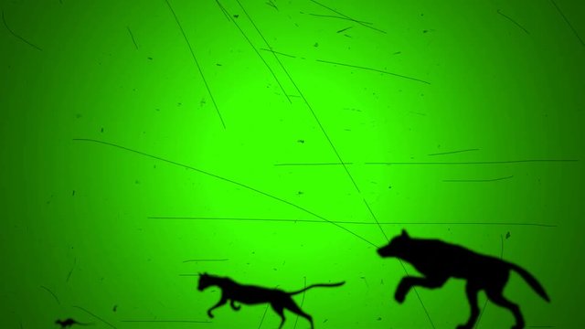 Dog Chase Cat That Chase Mouth in Retro Old Look Style on a Green Screen Background