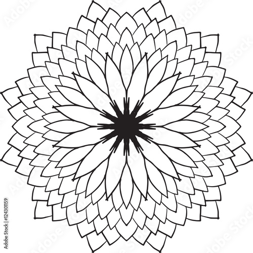 Flower Flower Design In Circle Drawing