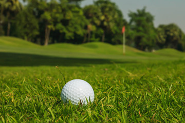 Golf ball on green grass