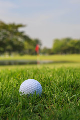 Golf ball on green grass